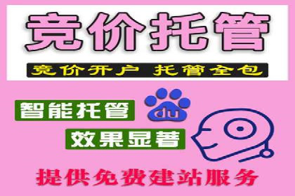 百度竞价广告在旅游行业的应用案例